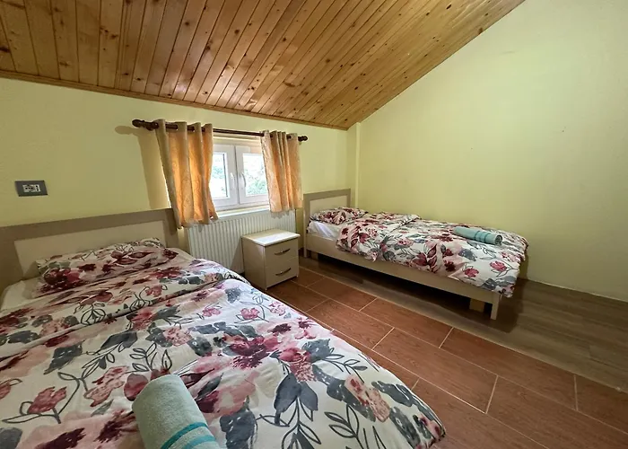 בית הארחה Artjoni Fierze