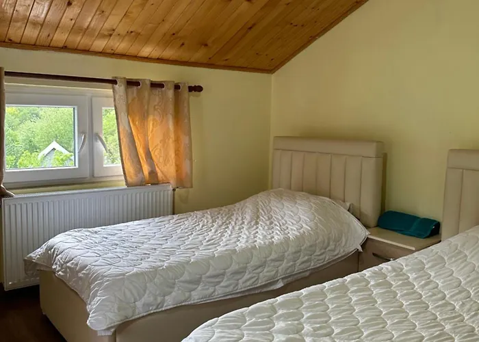 Artjoni Fierze בית הארחה Firza